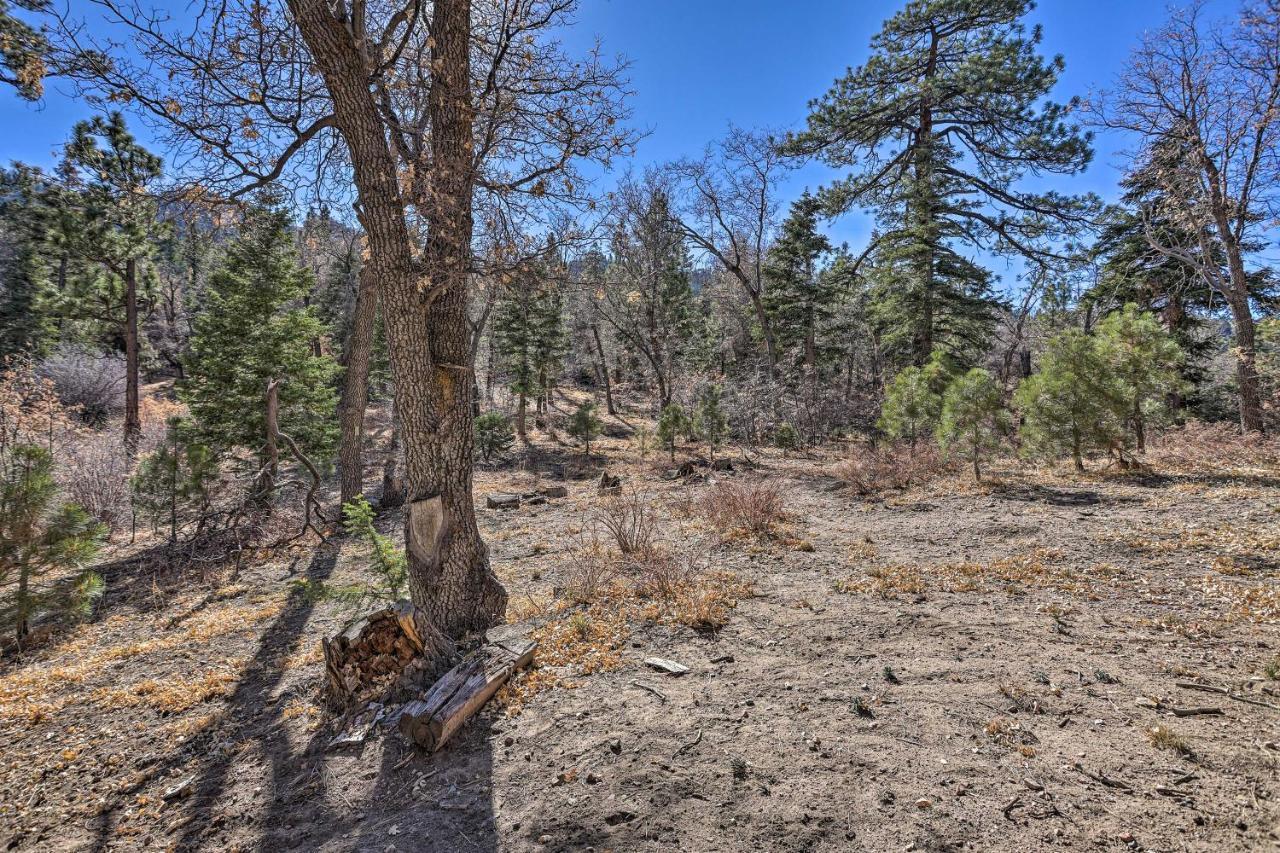 Вилла Chocolate Moose Cabin Short Walk To Slopes Биг Бэар Лейк Экстерьер фото